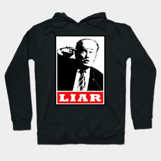 Donald Trump Liar and agitator Hoodie